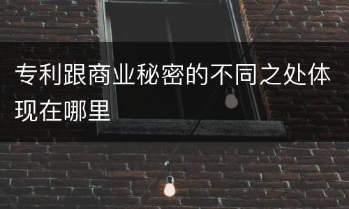 专利跟商业秘密的不同之处体现在哪里