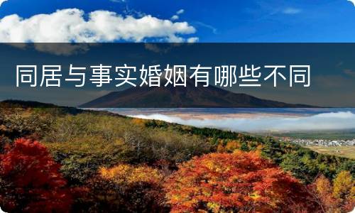 同居与事实婚姻有哪些不同
