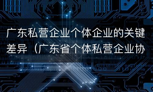 广东私营企业个体企业的关键差异（广东省个体私营企业协会）