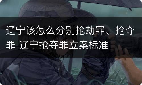 辽宁该怎么分别抢劫罪、抢夺罪 辽宁抢夺罪立案标准