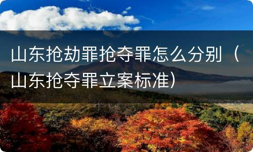 山东抢劫罪抢夺罪怎么分别（山东抢夺罪立案标准）