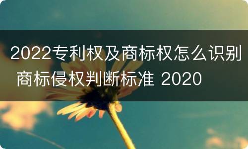 2022专利权及商标权怎么识别 商标侵权判断标准 2020