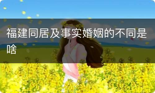 福建同居及事实婚姻的不同是啥