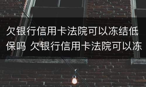 欠银行信用卡法院可以冻结低保吗 欠银行信用卡法院可以冻结低保吗知乎
