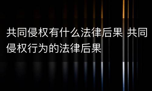 共同侵权有什么法律后果 共同侵权行为的法律后果