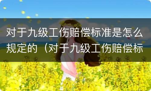 对于九级工伤赔偿标准是怎么规定的（对于九级工伤赔偿标准是怎么规定的呢）