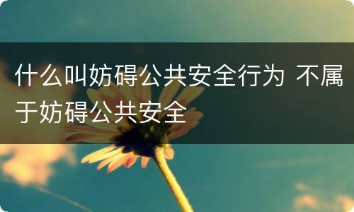什么叫妨碍公共安全行为 不属于妨碍公共安全