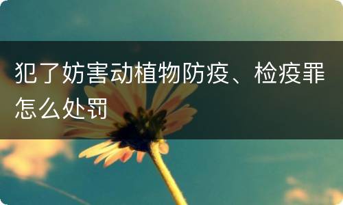 犯了妨害动植物防疫、检疫罪怎么处罚