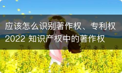 应该怎么识别著作权、专利权2022 知识产权中的著作权