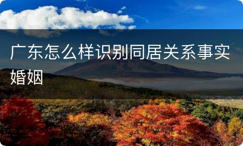 广东怎么样识别同居关系事实婚姻