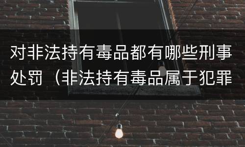对非法持有毒品都有哪些刑事处罚（非法持有毒品属于犯罪吗）
