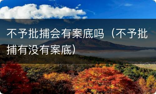 不予批捕会有案底吗（不予批捕有没有案底）