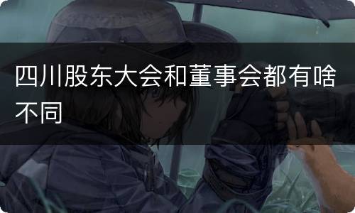 四川股东大会和董事会都有啥不同