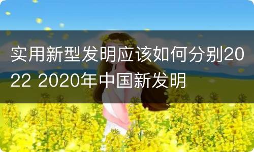 实用新型发明应该如何分别2022 2020年中国新发明