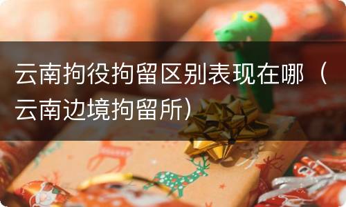 云南拘役拘留区别表现在哪（云南边境拘留所）