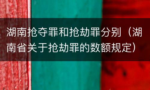 湖南抢夺罪和抢劫罪分别（湖南省关于抢劫罪的数额规定）