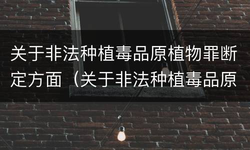 关于非法种植毒品原植物罪断定方面（关于非法种植毒品原植物罪断定方面的规定）