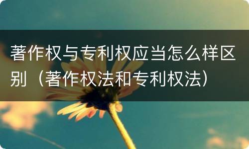 著作权与专利权应当怎么样区别（著作权法和专利权法）