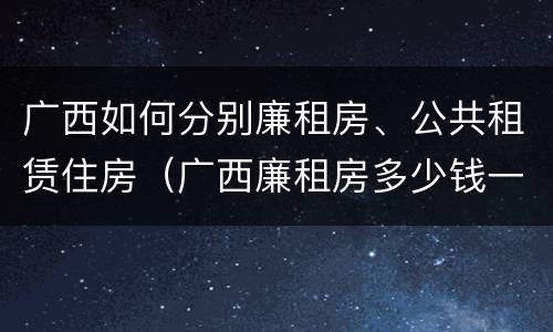 广西如何分别廉租房、公共租赁住房（广西廉租房多少钱一个月）