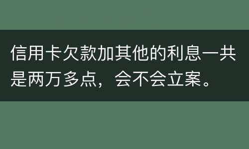 信用卡欠款加其他的利息一共是两万多点，会不会立案。