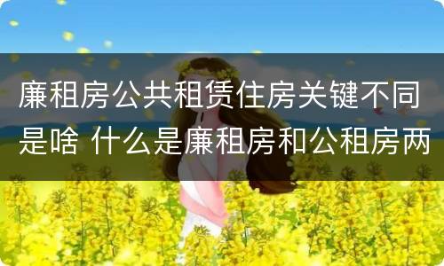 廉租房公共租赁住房关键不同是啥 什么是廉租房和公租房两个有什么特点