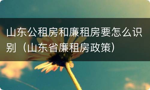 山东公租房和廉租房要怎么识别（山东省廉租房政策）