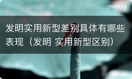 发明实用新型差别具体有哪些表现（发明 实用新型区别）