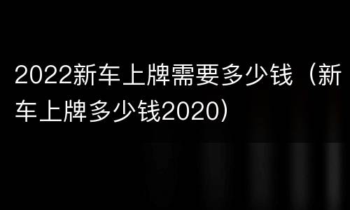 2022新车上牌需要多少钱（新车上牌多少钱2020）