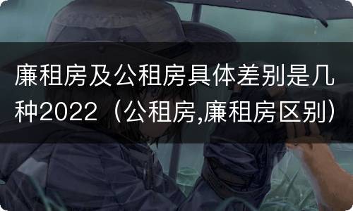 廉租房及公租房具体差别是几种2022（公租房,廉租房区别）