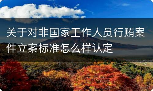 关于对非国家工作人员行贿案件立案标准怎么样认定