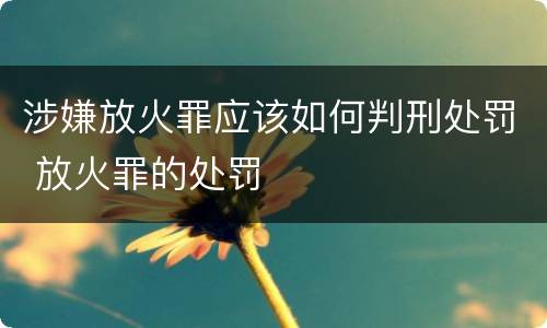 涉嫌放火罪应该如何判刑处罚 放火罪的处罚