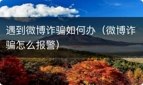 遇到微博诈骗如何办（微博诈骗怎么报警）