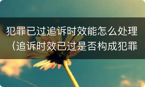 犯罪已过追诉时效能怎么处理（追诉时效已过是否构成犯罪）