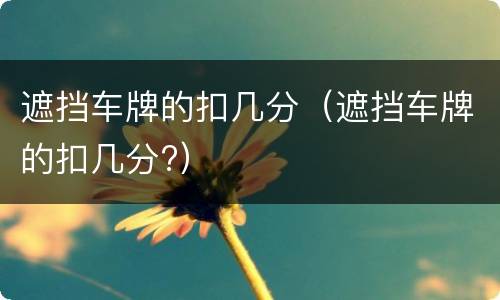 遮挡车牌的扣几分（遮挡车牌的扣几分?）