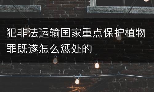 犯非法运输国家重点保护植物罪既遂怎么惩处的