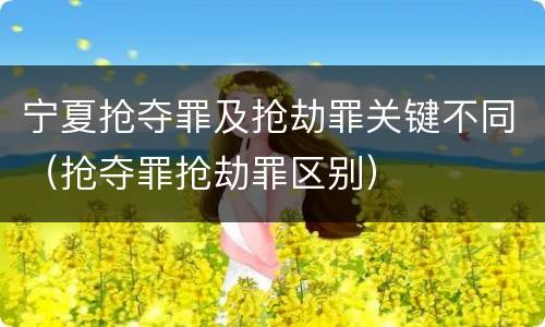 宁夏抢夺罪及抢劫罪关键不同（抢夺罪抢劫罪区别）