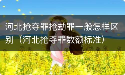 河北抢夺罪抢劫罪一般怎样区别（河北抢夺罪数额标准）