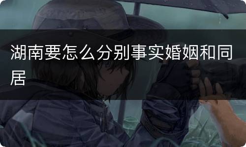 湖南要怎么分别事实婚姻和同居