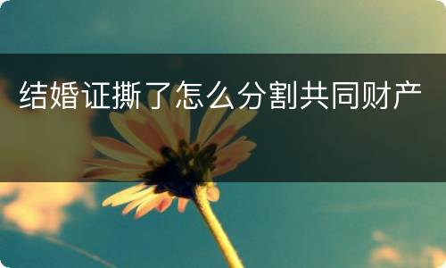 结婚证撕了怎么分割共同财产