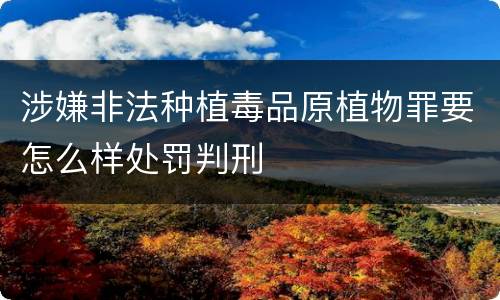 涉嫌非法种植毒品原植物罪要怎么样处罚判刑