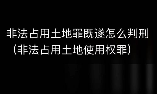非法占用土地罪既遂怎么判刑（非法占用土地使用权罪）