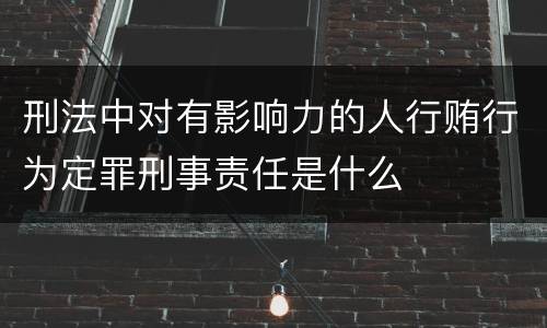刑法中对有影响力的人行贿行为定罪刑事责任是什么
