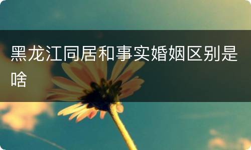 黑龙江同居和事实婚姻区别是啥
