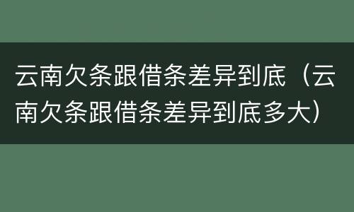 云南欠条跟借条差异到底（云南欠条跟借条差异到底多大）