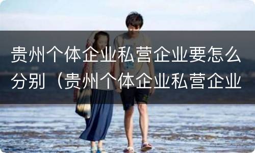 贵州个体企业私营企业要怎么分别（贵州个体企业私营企业要怎么分别交社保）