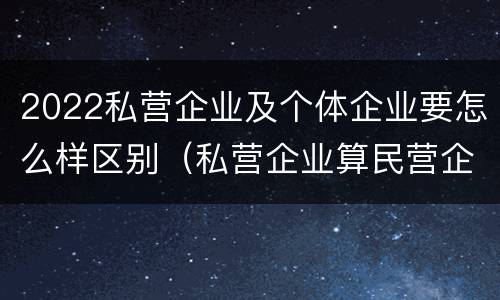 2022私营企业及个体企业要怎么样区别（私营企业算民营企业吗）