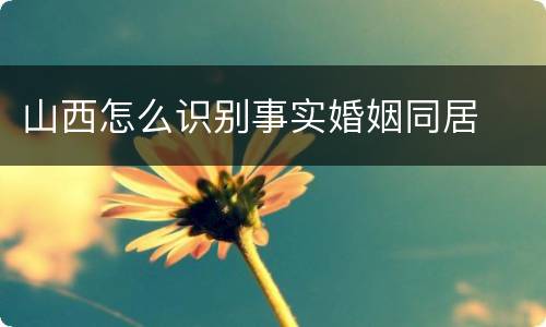 山西怎么识别事实婚姻同居