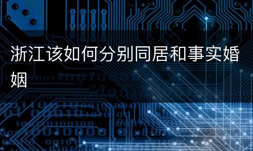 浙江该如何分别同居和事实婚姻
