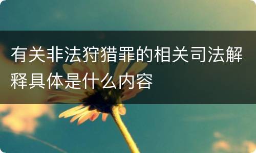 有关非法狩猎罪的相关司法解释具体是什么内容