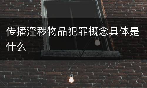 传播淫秽物品犯罪概念具体是什么